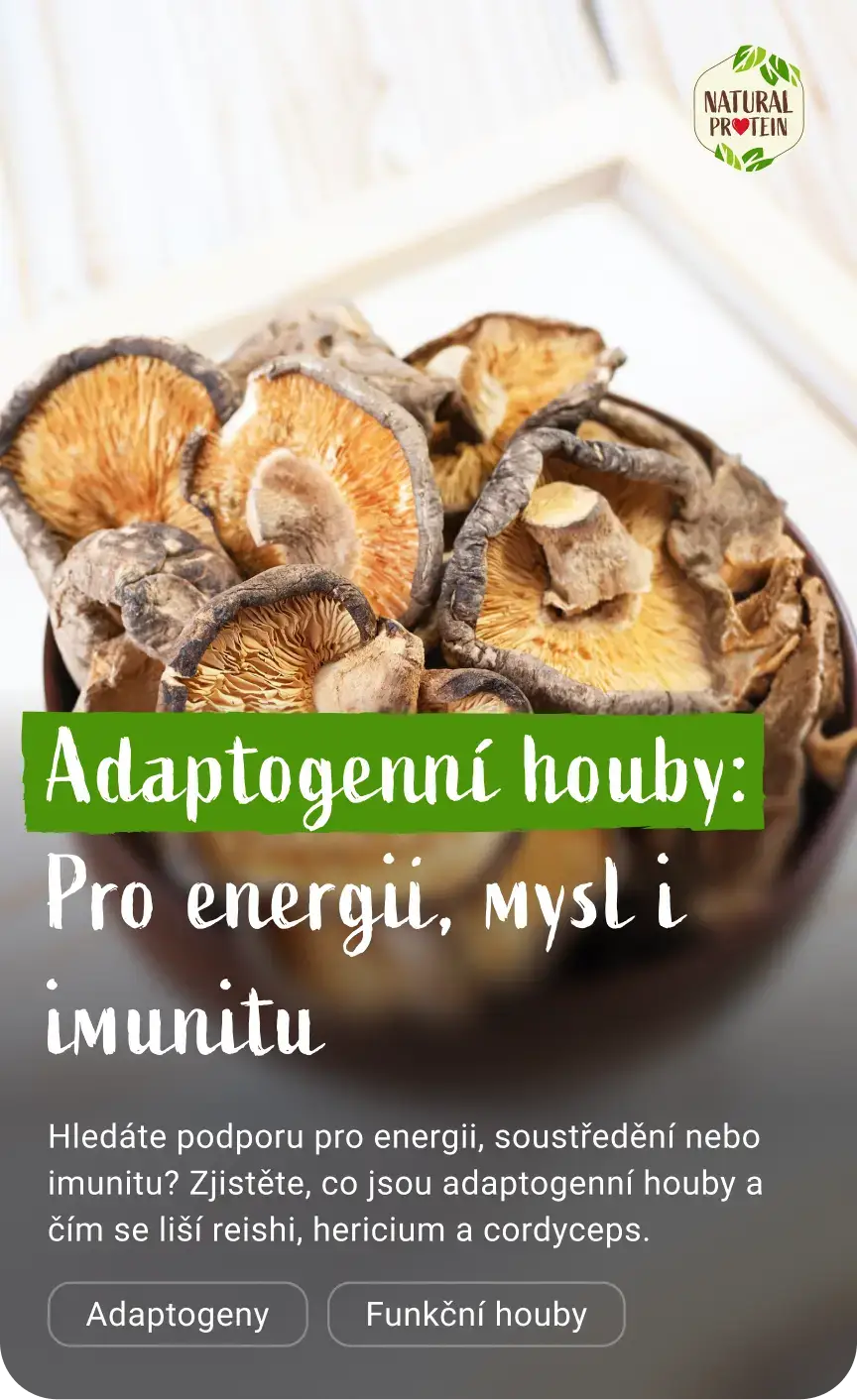 Adaptogenní houby: co se skrývá za pojmem, který slyšíte čím dál častěji
